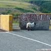 100715_S2K_Isle-of-man_martin133-(Custom)
